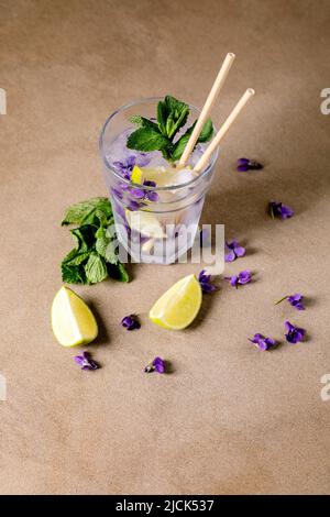 Transparent glass of lemonade soda cocktail with mint, violets flower ice and lime slices, paper straws, standing on brown table. Cold summer drink Stock Photo