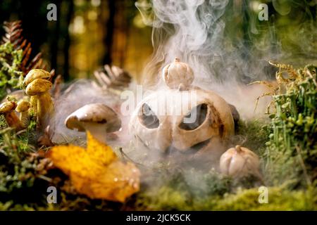 Halloween fairy tale ambiance magical autumn misty forest background. Ceramic Jack-o-lantern on autumn leaves, moss and wild mushrooms around. Stock Photo