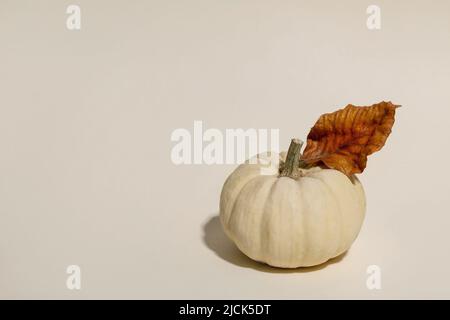 White whole uncooked decorative pumpkin with autumn dry leaves over beige background. Autumn minimalist composition. Copy space Stock Photo