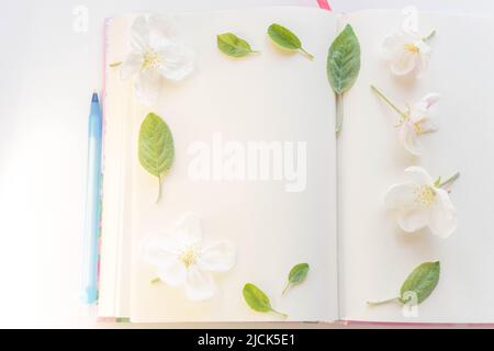 Open book with blank sheets and blue pen in apple flowers and leaves on paper. Stock Photo