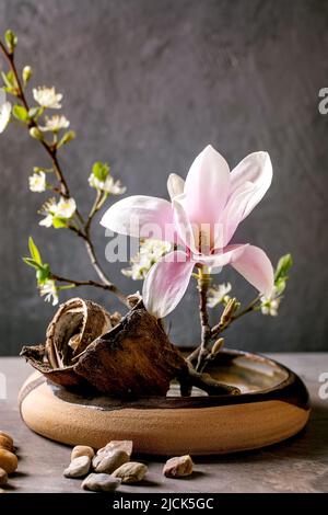 Spring ikebana. Floral composition with spring blooming magnolia and plum branch flowers in brown ceramic bowl, bark and stones around, standing on gr Stock Photo