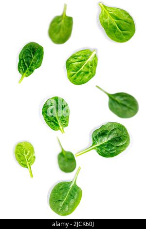 Fresh spinach leaves on white background. Stock Photo