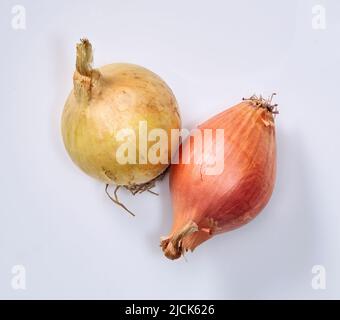 onion and shallot isolated on white background. Stock Photo