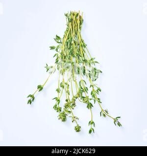 fresh thyme isolated on white background. Stock Photo