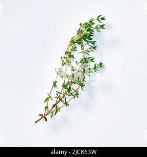 fresh thyme isolated on white background. Stock Photo