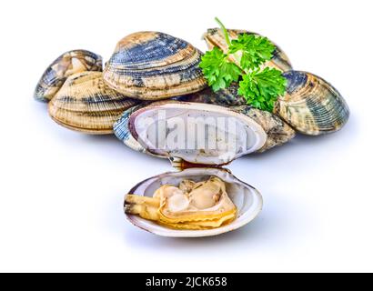 open en closed clams with shellfish isolated on white background. Stock Photo