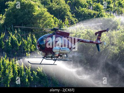 Piesport, Germany. 14th June, 2022. A helicopter sprays the vineyards on the steep slopes of the Moselle near Lörsch. Credit: Harald Tittel/dpa/Alamy Live News Stock Photo