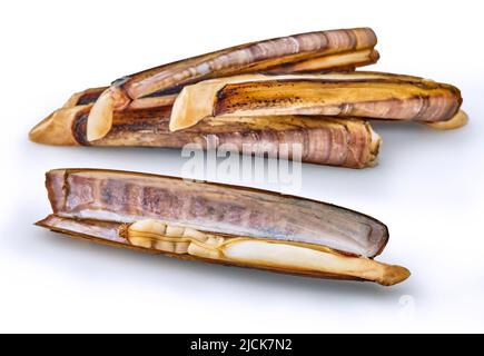 open en closed clams with shellfish isolated on white background. Stock Photo