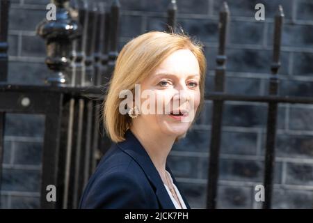London, UK. 14th June, 2022. Liz Truss, Foreign Secretary, arrives at a cabinet meeting at 10 Downing Street London. Credit: Ian Davidson/Alamy Live News Stock Photo