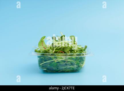 Sunflower shoots and sprouts in a plastic box on an empty background isolate. Green microgreen salad for eating. Healthy raw food, diet, vegan concept. High quality photo Stock Photo