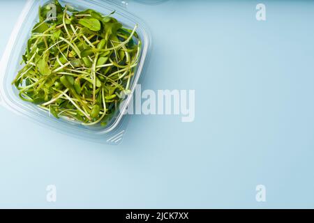 Sunflower shoots and sprouts in a plastic box on an empty background isolate. Green microgreen salad for eating. Healthy raw food, diet, vegan concept. High quality photo Stock Photo