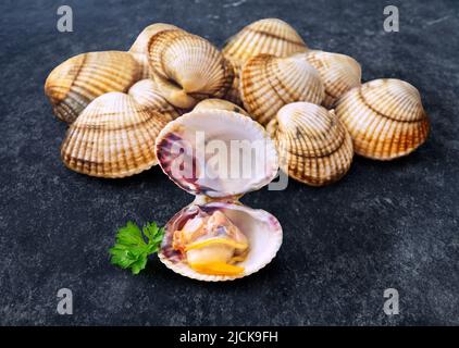 open en closed clams with shellfish isolated on black background. Stock Photo