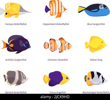 Tropical fishes. Exotic underwater wildlife with small colored fishes garish vector illustrations isolated Stock Vector