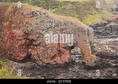 The Elephant Rock outcrop on the coast at Montrose in Scotland Stock Photo