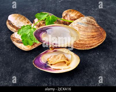 open en closed clams with shellfish isolated on black background. Stock Photo