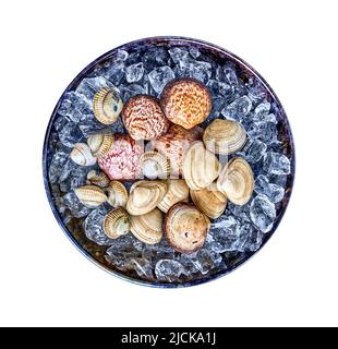 assorted clams with shellfish on white background. Stock Photo