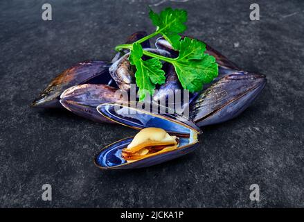 open en closed clams with shellfish isolated on black background. Stock Photo