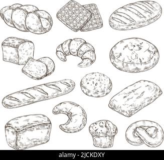 Belgian waffle bread vector drawing. Food sketch of Waffle, usually ...