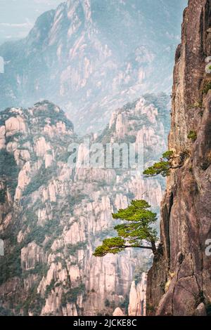 Shixin Beginning-to-Believe peak in Huangshan mountain, known as Yellow mountain, Anhui, China. Stock Photo