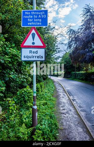 Beware Red Squirrels Sign on a road in Pethrshire Scotland. Red Squirrel Hazard Sign. Stock Photo