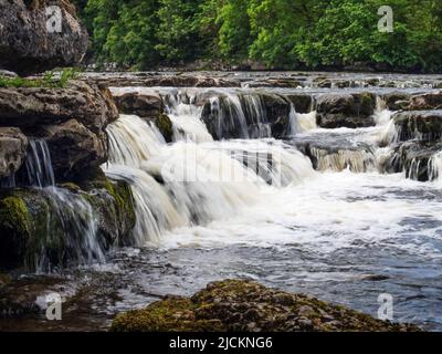 Waterfall on the River Ure downstream of AYsgarth Falls near Aysgarth Yorkshire Dales North Yorkshire England Stock Photo