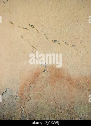 textured beige green and rust colored abstract design on exterior concrete wall   weather damage peeling paint and aging grungy vertical backdrop Stock Photo