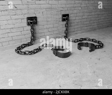 A set of empty old iron shackles draped on the floor connected to an isolated white brick wall  - 3D render Stock Photo