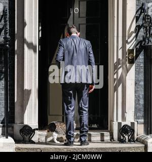 London, UK. 14th June, 2022. Larry the Cat, Chief Mouser, firmly stands in the way of a visitor entering No 10. Ministers attend the weekly Cabinet Meeting in Downing Street today. Credit: Imageplotter/Alamy Live News Stock Photo