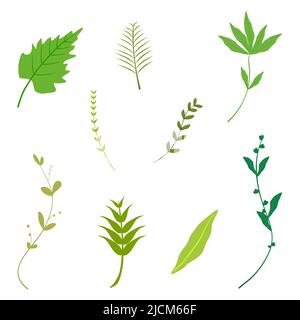 Abstract background flora leaf decorative wallpaper pattern vector illustration Stock Vector