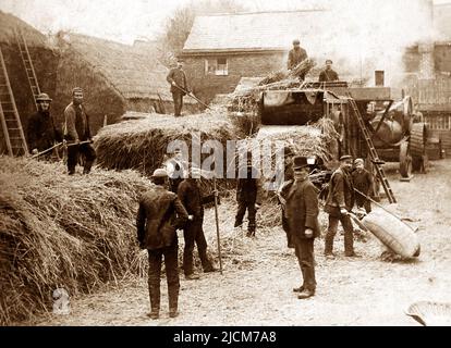 Hay making near Alfreton, Victorian period Stock Photo