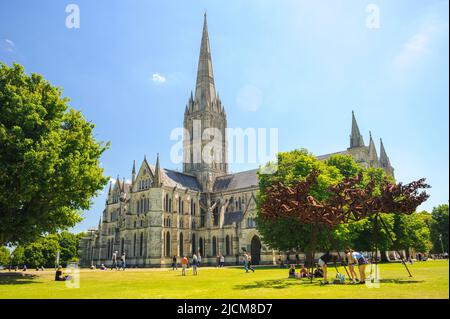 Salisbury, WIltshire, UK, 14th June 2022. Weather: A heatwave is building in for the next few days across southern England. At Salisbury Cathedral, where a pair of breeding peregrine falcons are currently nested at the top of the tower, temperatures edged towards the mid-twenties in the afternoon under a clear blue sky. Credit: Paul Biggins/Alamy Live News Stock Photo