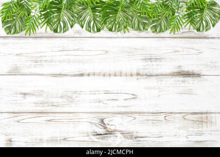 Floral border with green monstera and palm leaves on bright wooden background Stock Photo