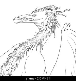 Black and white coloring page ink illustration of a dragon. Stock Photo