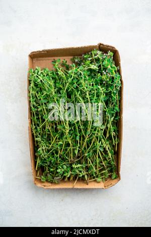Fresh thyme in a container, from above. Top view, isolated over white. Stock Photo