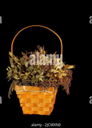 Dried plant sprigs in wicker basket isolated on black Stock Photo