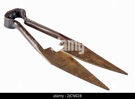 Old rusty scissors for shearing isolated on white background Stock Photo