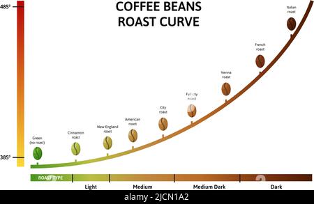 https://l450v.alamy.com/450v/2jcn1a2/coffee-roasting-levels-roast-curve-optimal-temperature-for-roasting-beans-vector-illustration-2jcn1a2.jpg