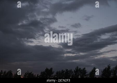 Silhouettes trees, stormy dramatic clouds during evening sunset Stock Photo