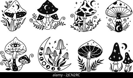 Mystic mushrooms. Celestial witchy mushroom with mystical elements, moon  phase esoteric stars sakral gothic mushrooming, hippie psilocybin tattoo  vector. Illustration of magic and mystical mushroom Stock Vector Image &  Art - Alamy
