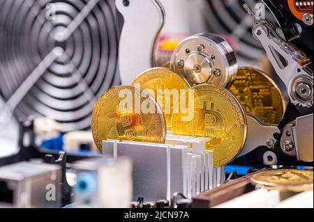 close-up of gold bitcoin on computer components background, technology and digital currency concept Stock Photo
