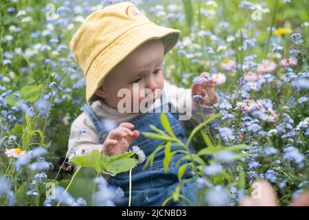 Little child having fun and exploring nature. Cheerful baby girl in flowers meadow. Happy childhood and childcare Stock Photo