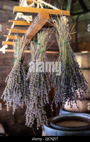 lavender bundles tied and hanging to dry from an herb rack Stock Photo