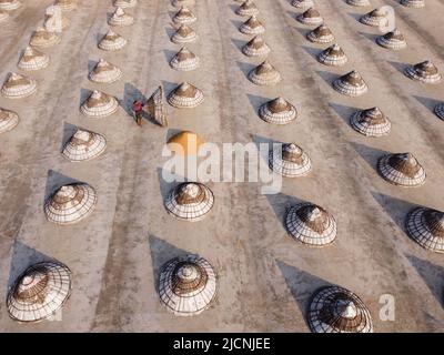 June 15, 2022, Brahmanbaria, Chittagong, Bangladesh: Worker covers mounds of rice with giant hat-shaped bamboo cones in a field in Brahmanbaria, Bangladesh after they have been dried in the scorching sun. This is a traditional method of keeping freshly collected rice protected from rain and fog after the removal of moisture. The dried rice is piled into cone shaped mounds so that it fits under the cones. Rice is the staple food of about 140 million people of Bangladesh. It provides nearly 48% of rural employment, about two-third of total calorie supply and about one-half of the total protein i Stock Photo