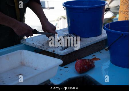 Catch of the day , fresh fish for sale on daily outdoor fisherman's market in small old port in Cassis, Provence, France Stock Photo