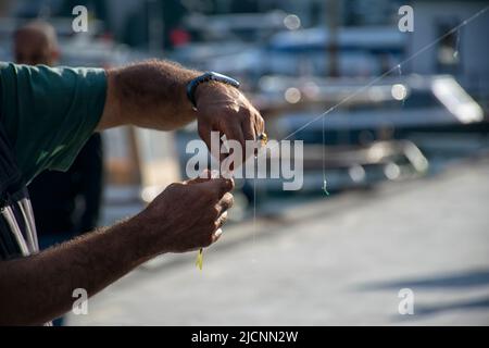 Freshly caught horse mackerel fish on a hook on a blurred background, side view Stock Photo