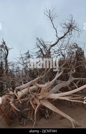 Atlantic storm with waves and grey water Stock Photo