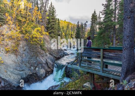 Woman tourist admiring waterfall, Million Dollar Falls in autumn. Taken from Yukon Territory, Canada. Stock Photo