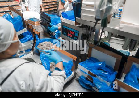 Weighing and packing of shrimp in an industrial food plant Stock Photo