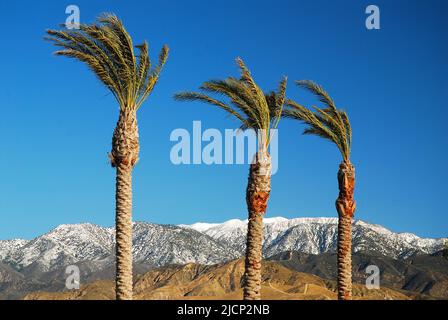 Palm trees and snow capped mountains produce a contrast in climates and landscapes in the San Bernardino Mountains of Southern California near Cabazon Stock Photo