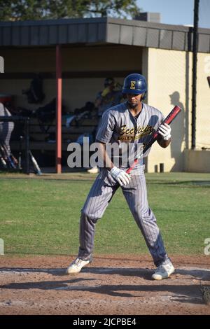 A college baseball player at bat against Dallas Christian College ...